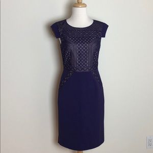 Antonio Melani Purple Shift Dress Sz 2